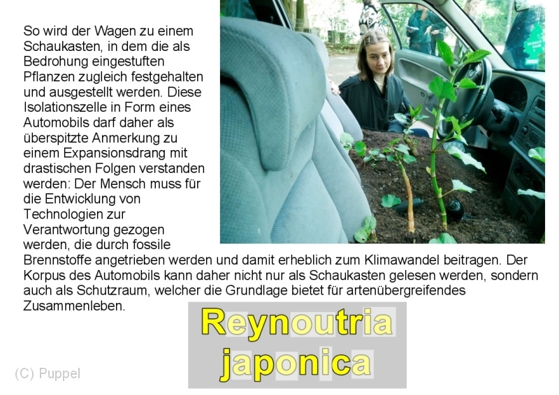 B INFO_0013 -.jpg